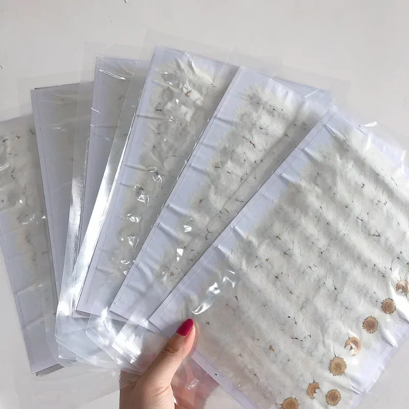 60X Pressed Dried Natural Whit – обзор и цена Body Jewelry Display Case