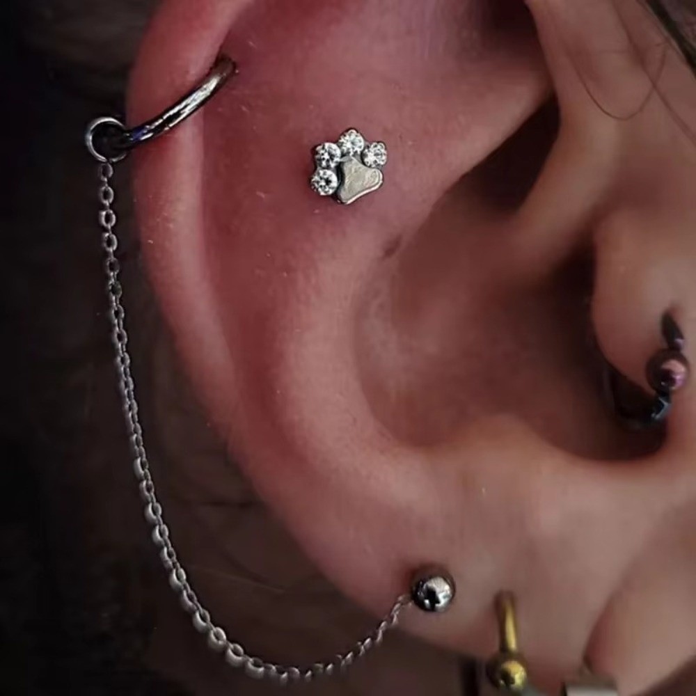 Fashion Titanium Nose Chain Th – обзор и цена Body Jewelry Titanium