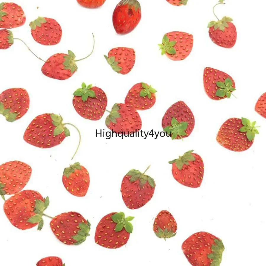10pcs Dried Pressed Mini Fruit – обзор и цена Body Jewelry Display Case