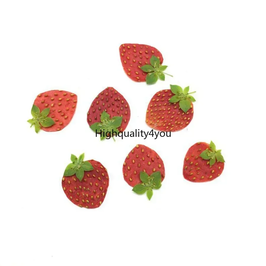 10pcs Dried Pressed Mini Fruit – обзор и цена Body Jewelry Display Case