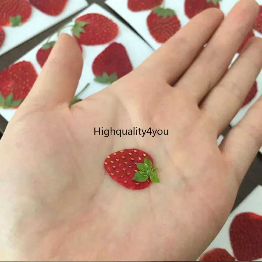 10pcs Dried Pressed Mini Fruit – обзор и цена Body Jewelry Display Case